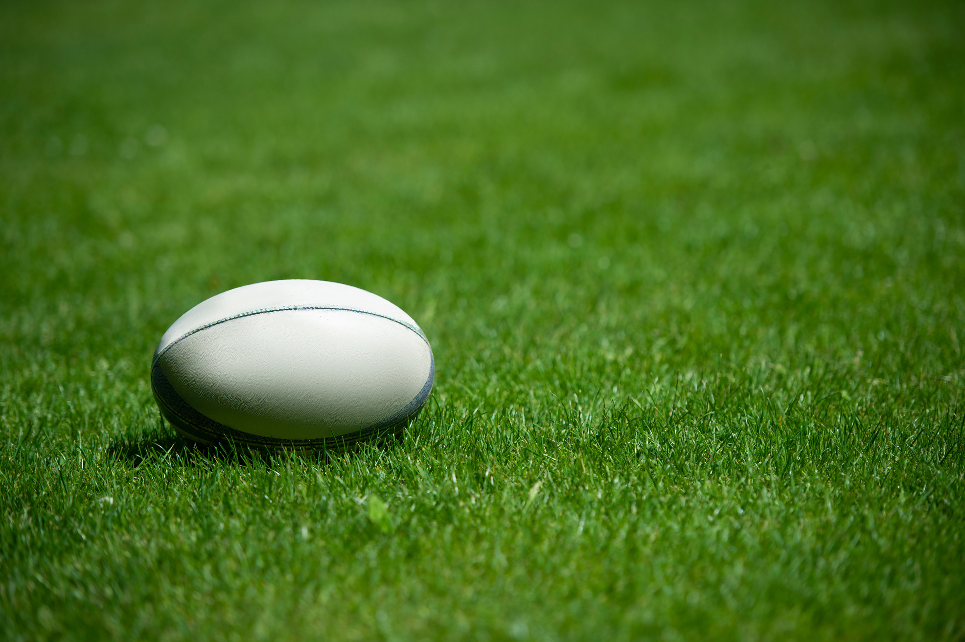 Rugby Ball on the Grass 